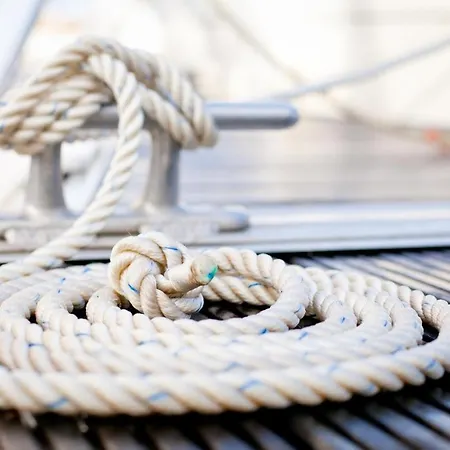 Immenbarg, Sternsucher * Rostock