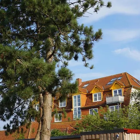 Apartment Immenbarg, Sternsucher *