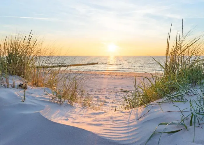 Appartement Immenbarg, Sternsucher